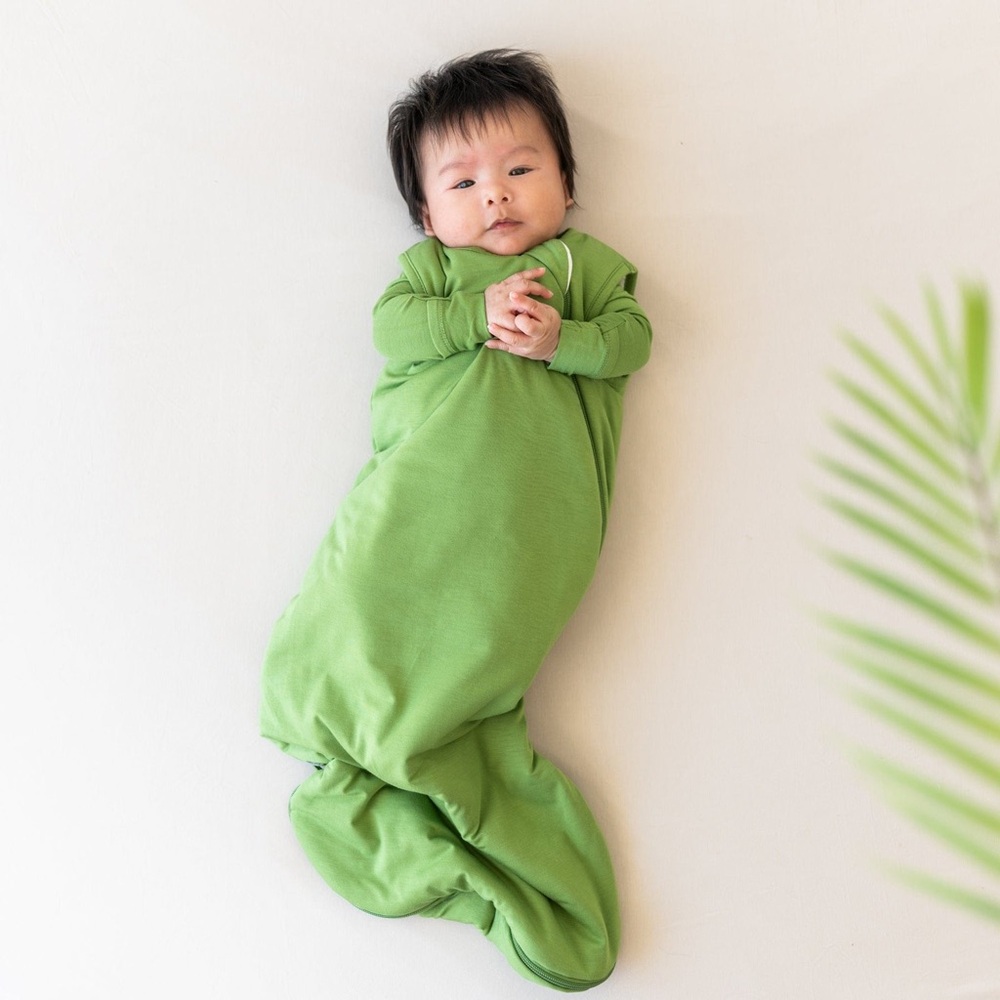 Kyte Baby 2.5 tog Original Sleep Bag